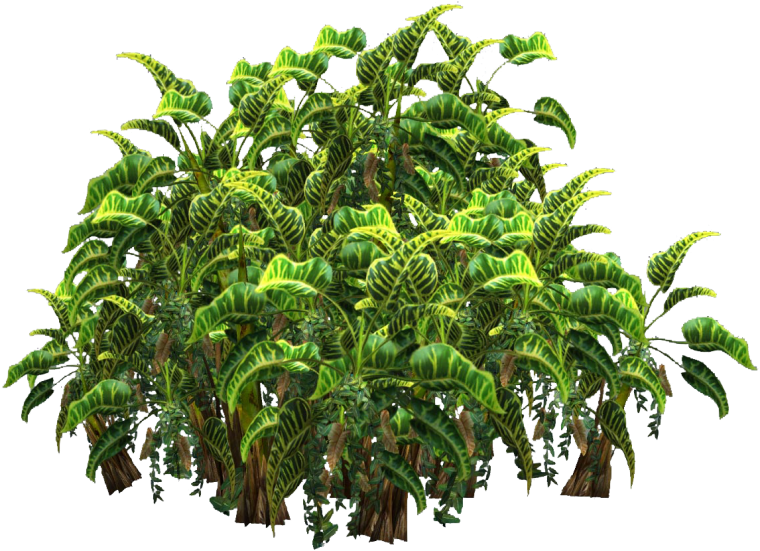 Растения без фона