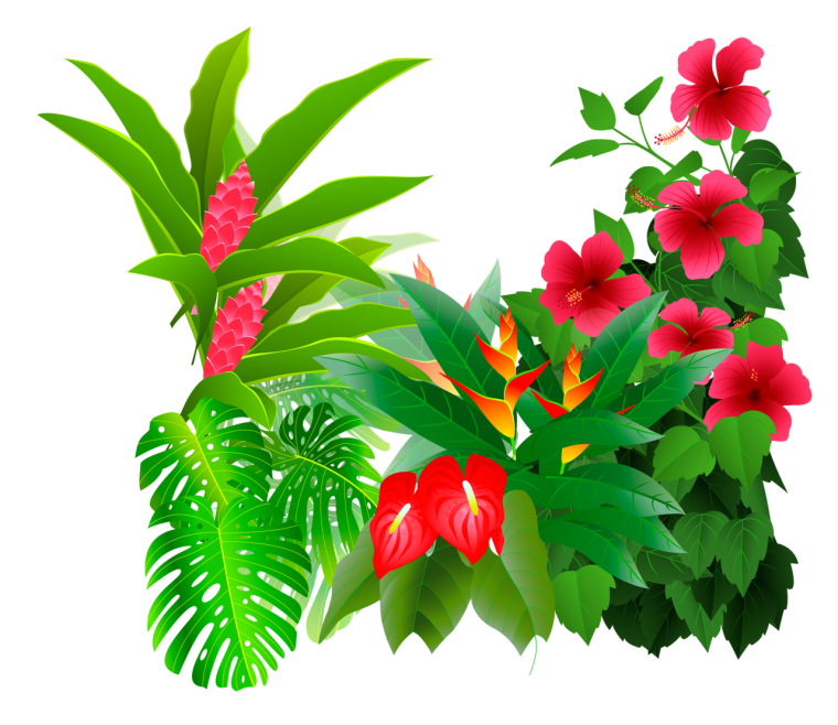 Тропические цветы вектор