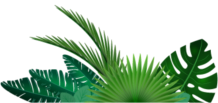 Экзотические листья вектор