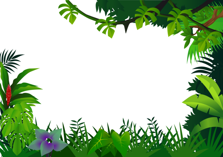 Джунгли на прозрачном фоне