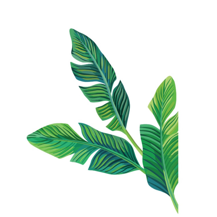 Лист пальмы