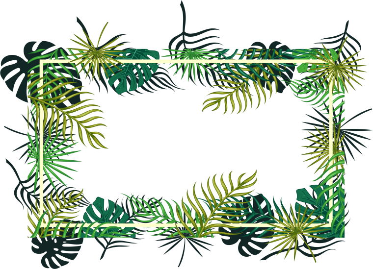 Рамка в стиле тропики