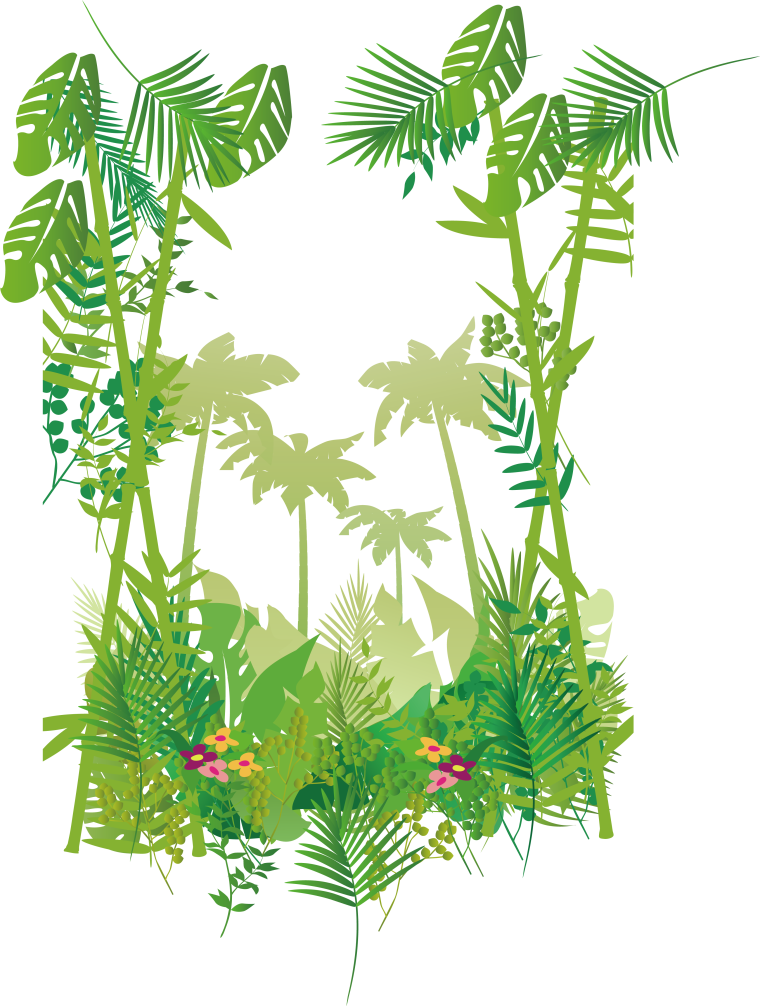 Тропики мультяшные