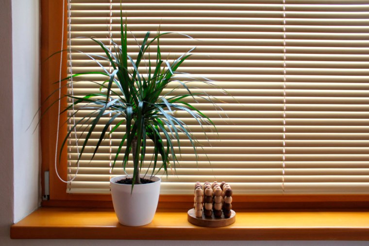 Цветные горизонтальные жалюзи в интерьере