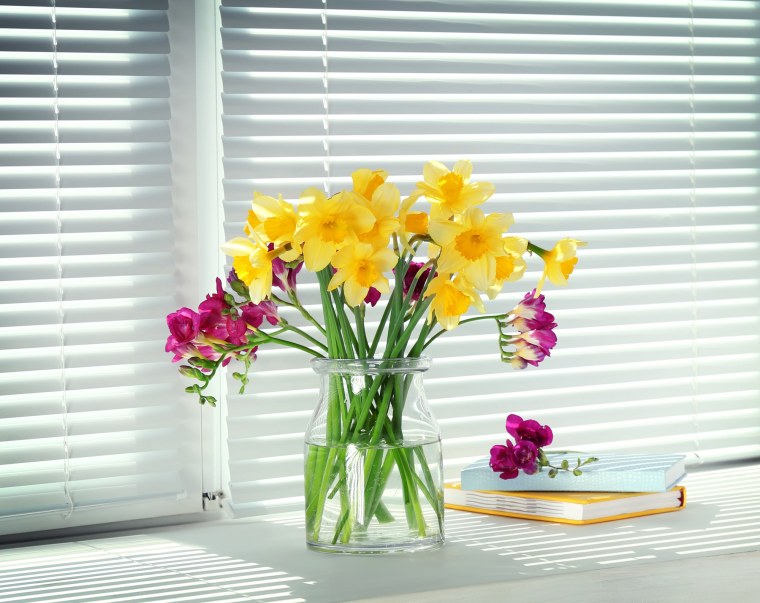 Цветы на фоне жалюзи