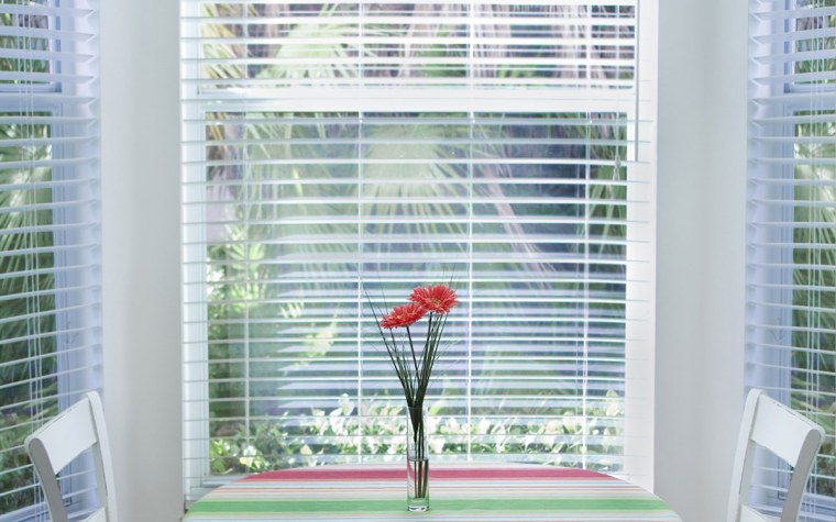 Цветы на окне с жалюзями