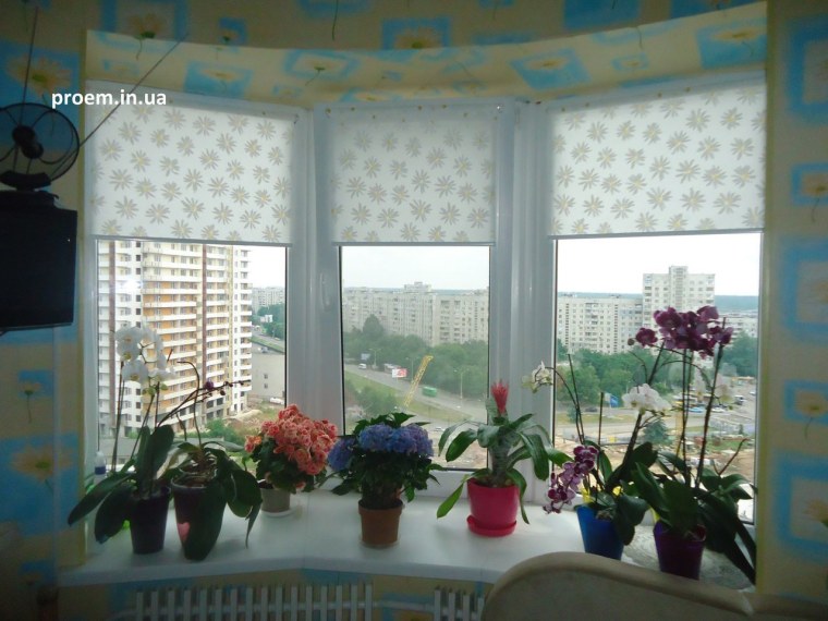 Жалюзи и цветы на подоконнике