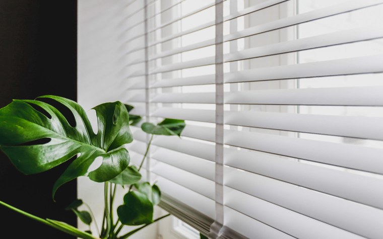 Жалюзи горизонтальные коллекция цветы-листья