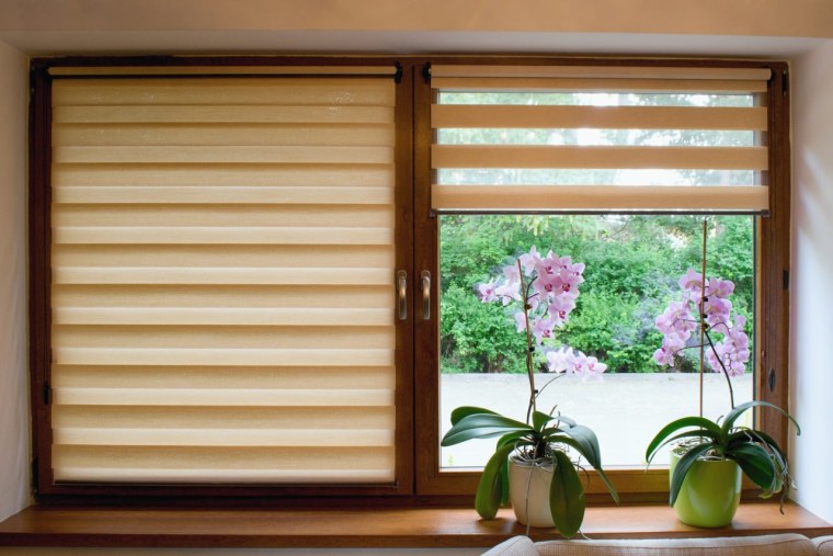 Window Roller Blinds