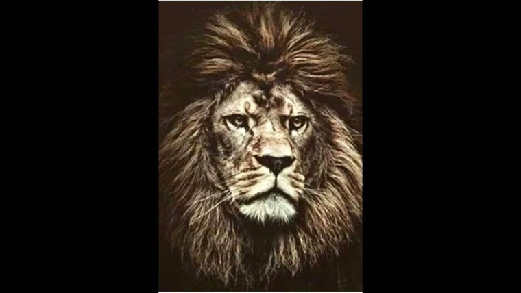 Картина Лев с надписью