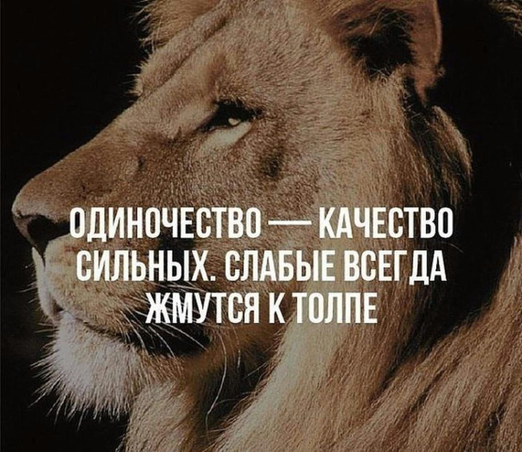 Сильные цитаты