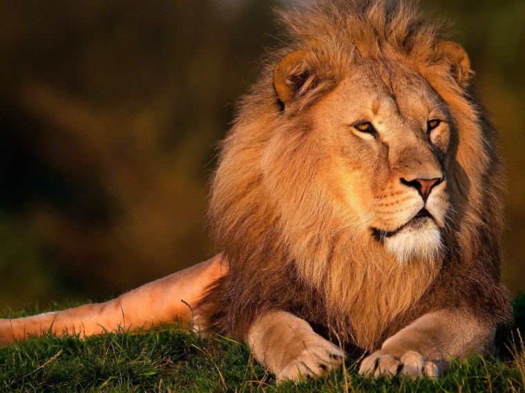 Цитаты про Львов