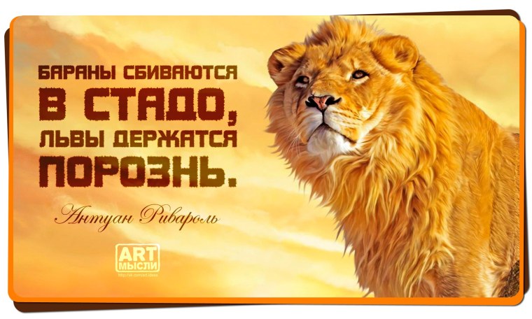 Лев цитаты