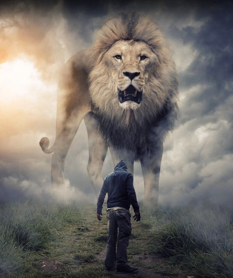 Статусы со львами