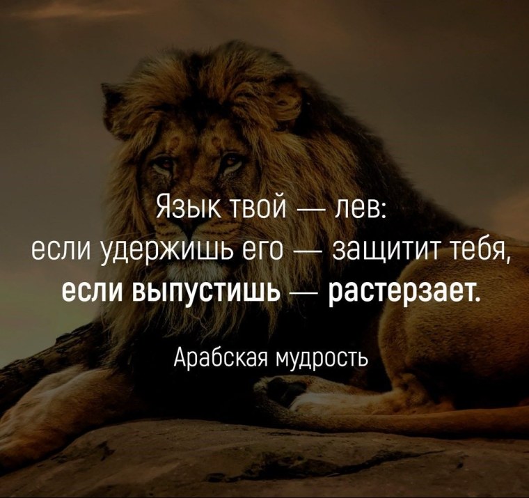 Цитаты про Львов