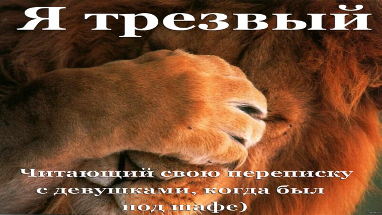 Прикольная надпись про Льва на день рождения