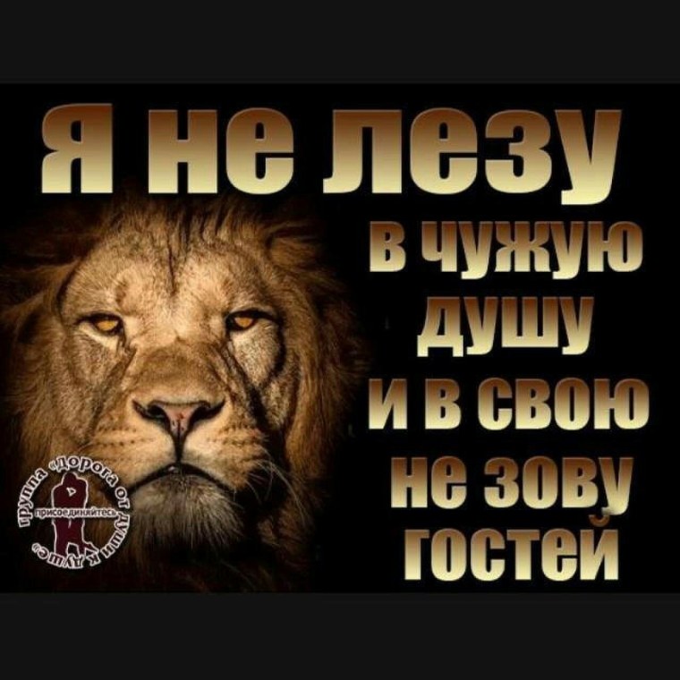 Льву наплевать на мнение