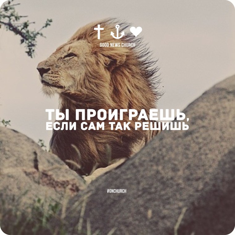 Фразы про Льва