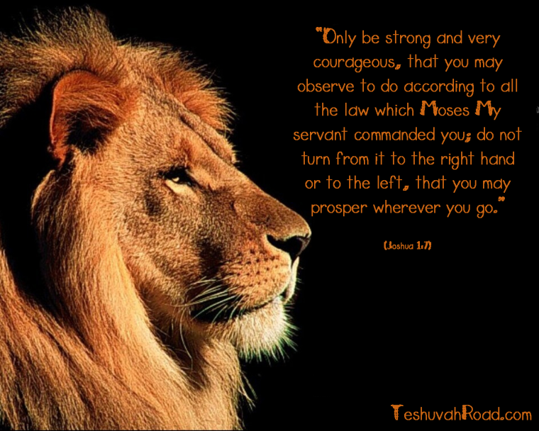 Фразы про Льва