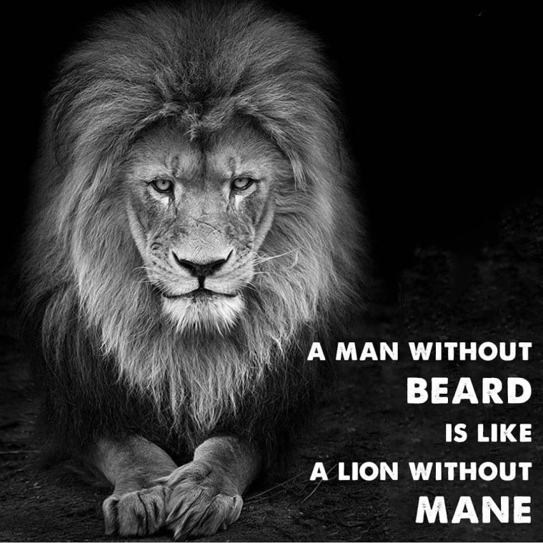 Картина Лев с надписью