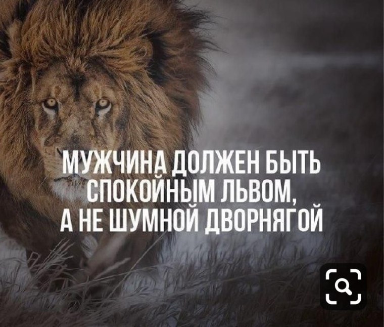 Цитаты про Львов