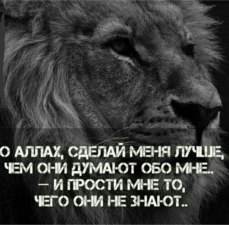 Прости мне Аллах