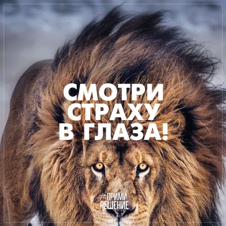 Лев мотивация