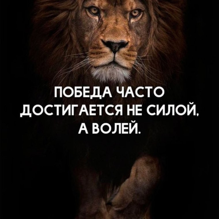 Лев мотивация