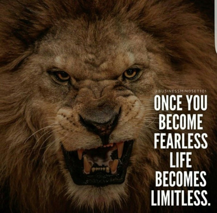 Выражения про Льва