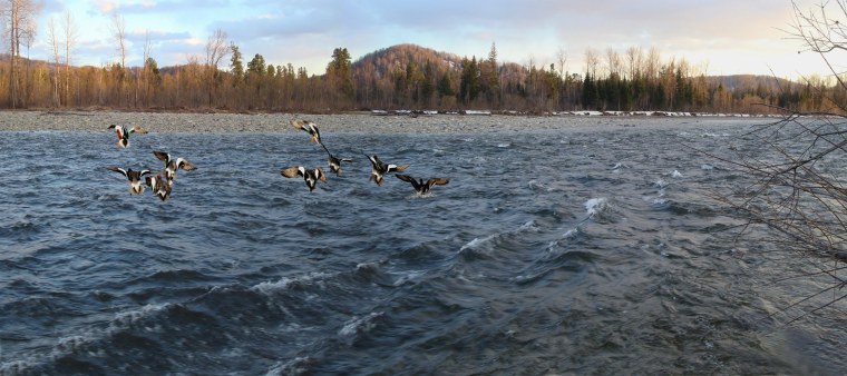 Заповедник на Терси