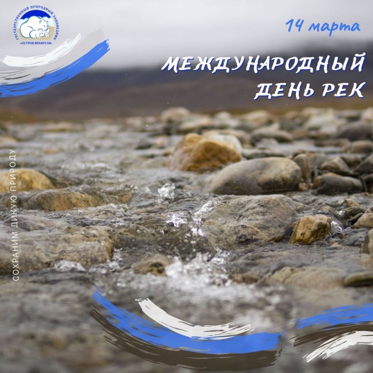 Международный день рек 14 марта