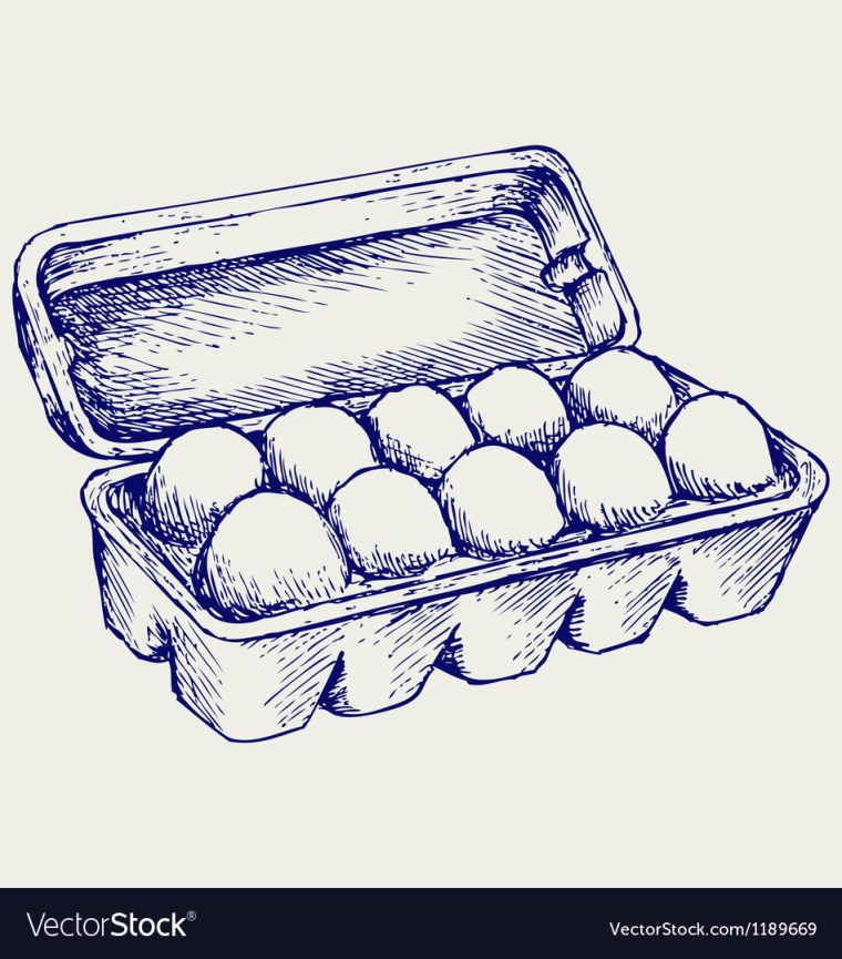 Контейнер для яиц вектор