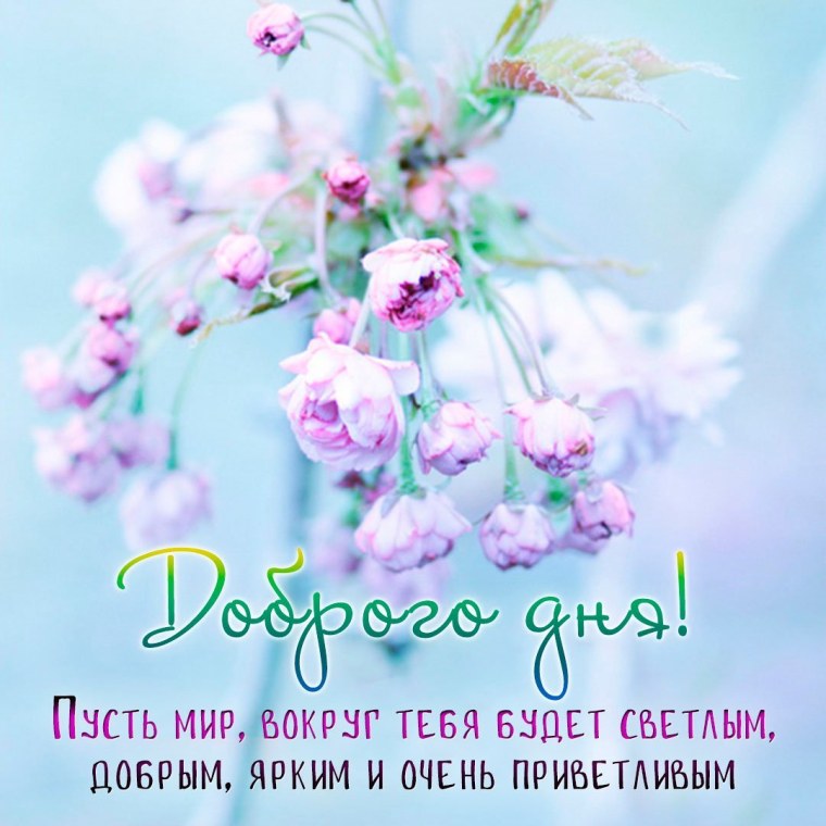 День нежности 2022