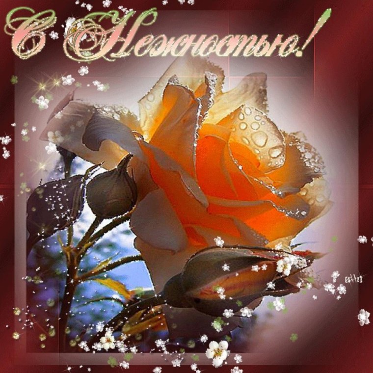 Открытка "с нежностью!"