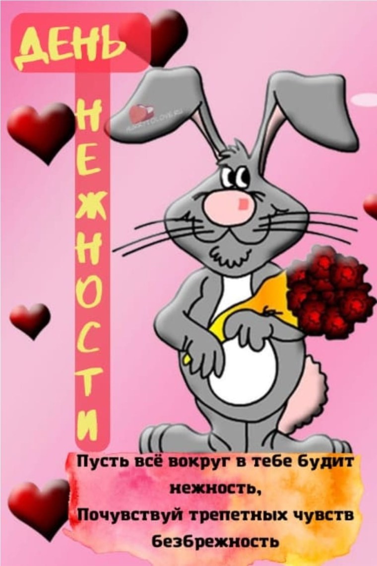 День нежности 3 февраля картинки