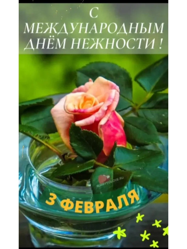 Международный день нежности 2022