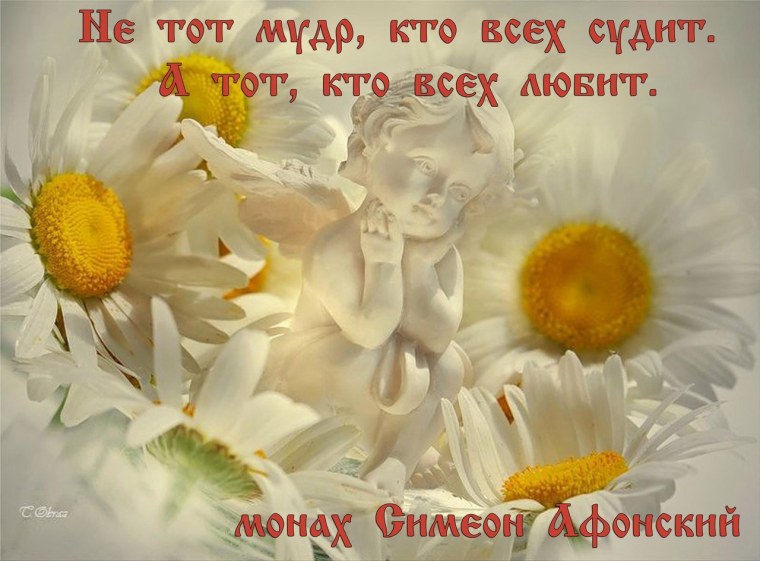 Доброе утро Ангелочек цветы