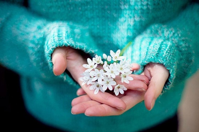 Красивые весенние цветочки в руке