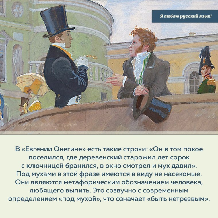 Евгений Онегин мух давил