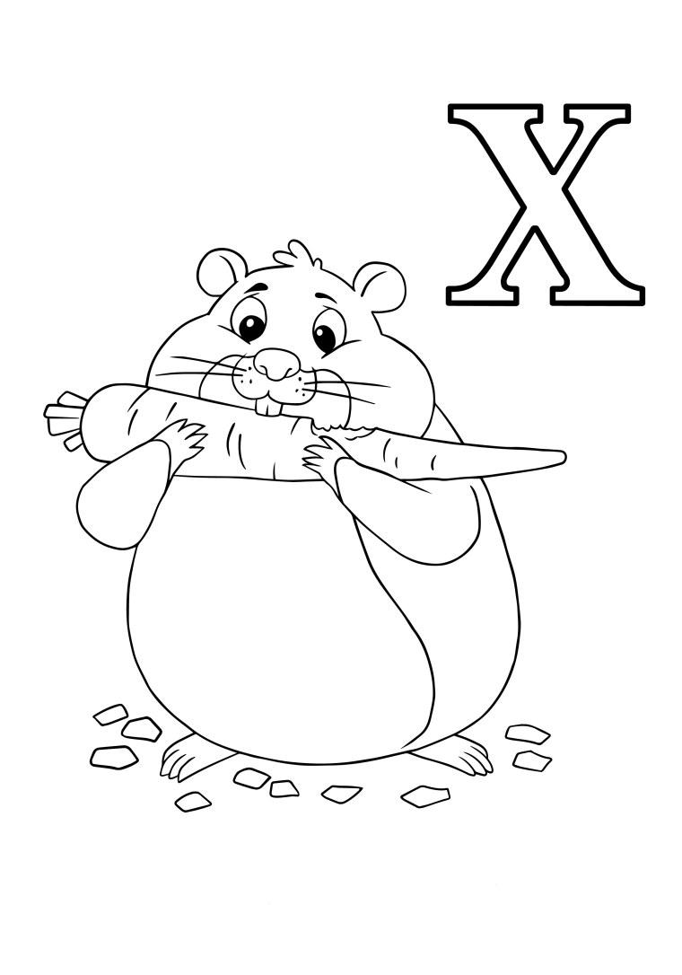 Буква х раскраска