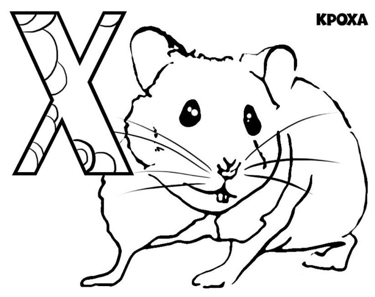 Буква х раскраска