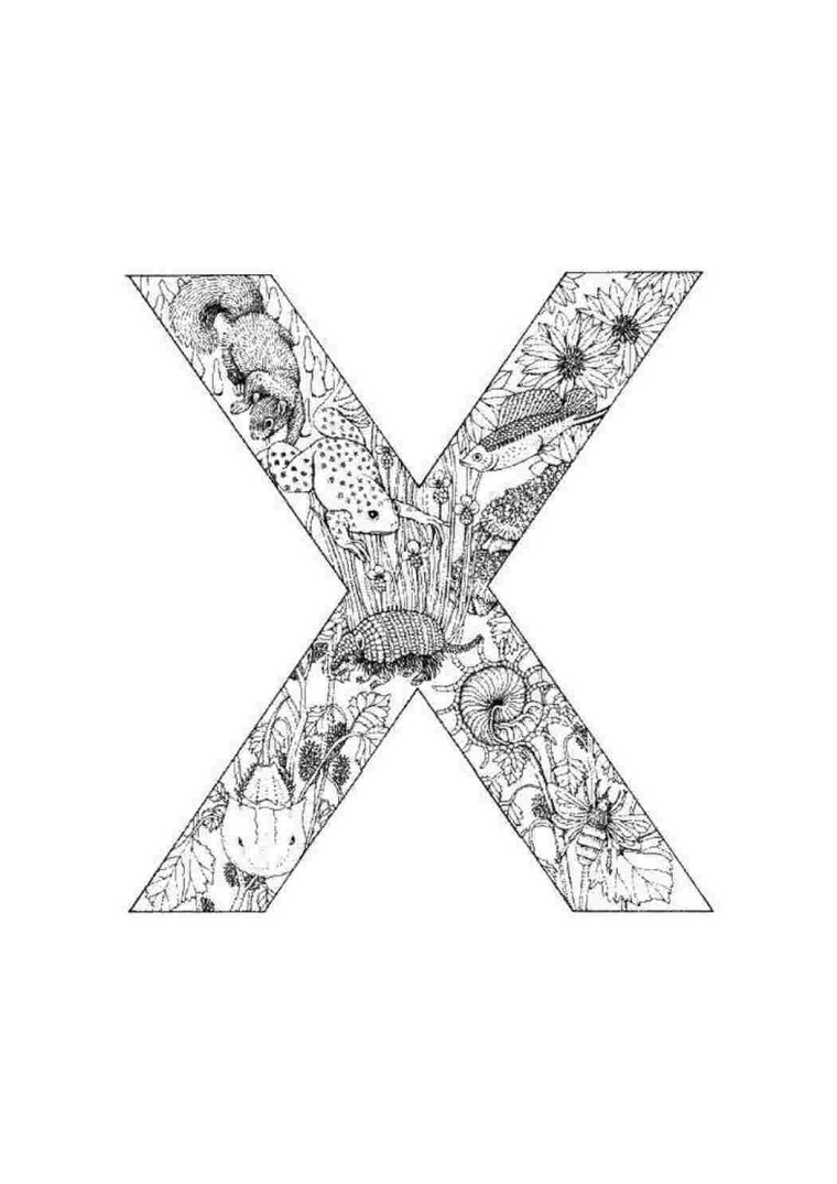 Картинки с буквой х для обоя