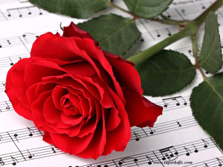 Ноты и цветы