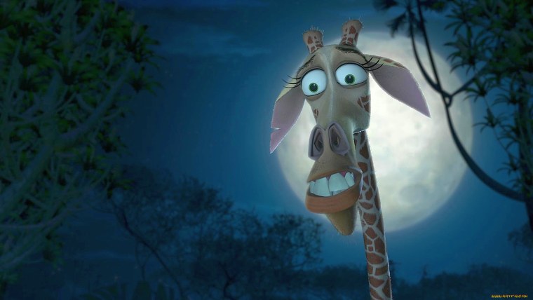 Мадагаскар Мелман врач