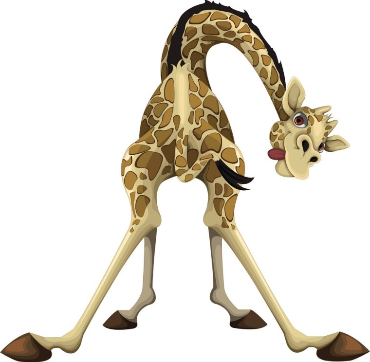 Мадагаскар Жираф Мелман