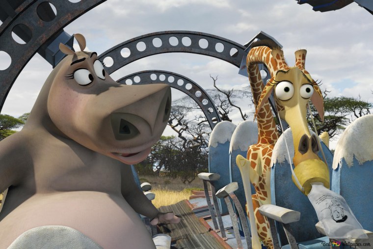 Мадагаскар 2 Глория и Мелман