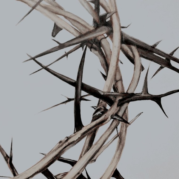 Терновый куст Эстетика