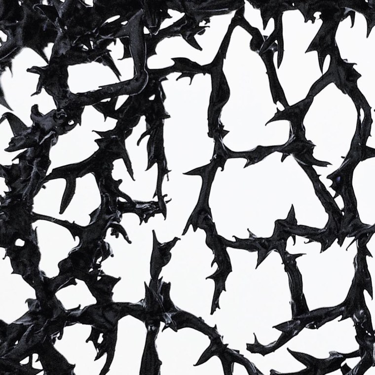 Терновник Эстетика