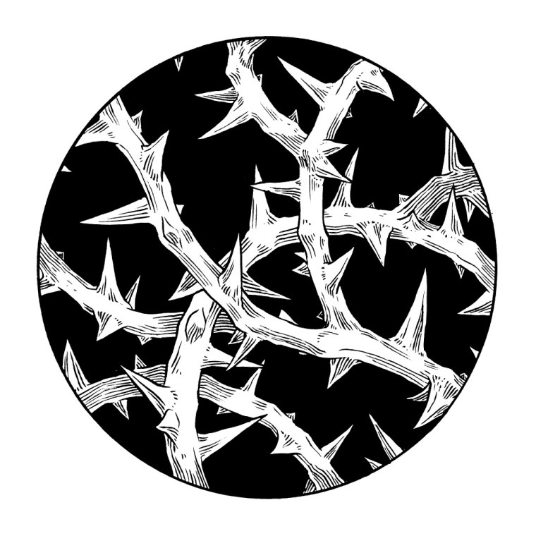 Терновник эскиз