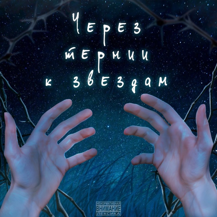 Сквозь тернии к звездам